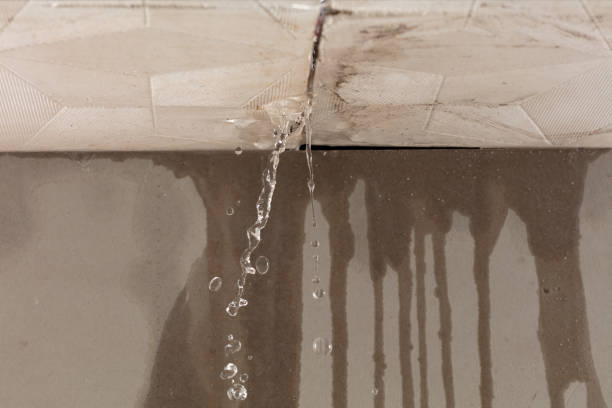 Professional Water Extraction technician working in Patterson, LA